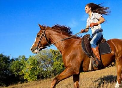 Simbol plemstva i obitelji: zašto žena ili muškarac sanjaju da jašu konja?
